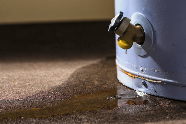 Best 24/7 water damage repair  in Larch Y, WA