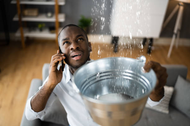 Best Carpet water damage restoration  in Larch Y, WA