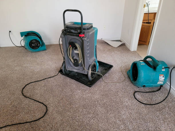 Best Professional water damage repair  in Larch Y, WA