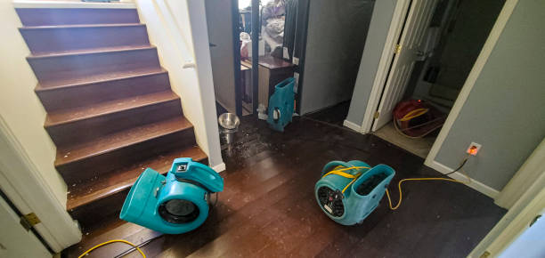 Best Sewage cleanup and water damage restoration  in Larch Y, WA
