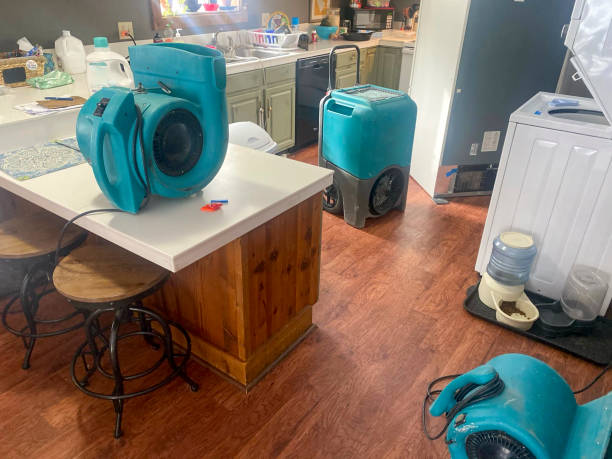Best Water damage contractors near me  in Larch Y, WA