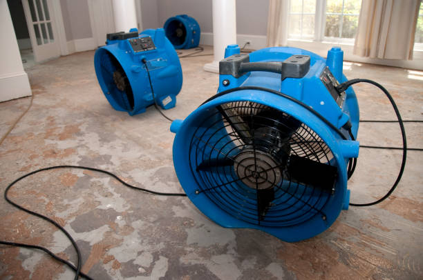 Fire Damage Restoration in Larch Way, WA
