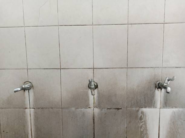 Best Fire Damage Restoration  in Larch Y, WA