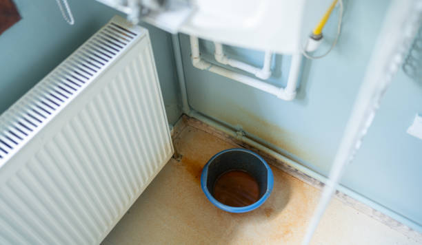 Best Residential water damage restoration  in Larch Y, WA