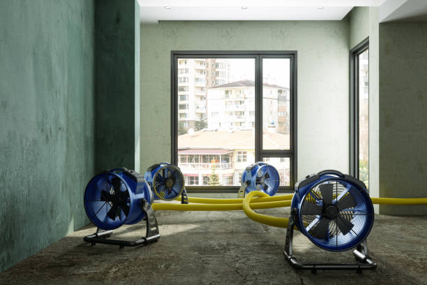 Best Water damage restoration specialists  in Larch Y, WA