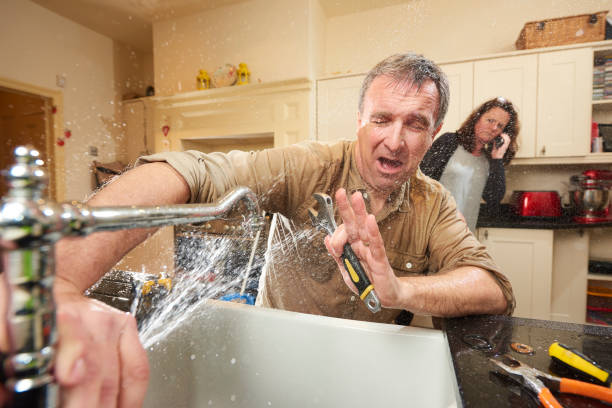 Best Basement water damage restoration  in Larch Y, WA